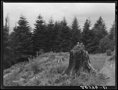 [Untitled photo, possibly related to: Shows charater of the land in…, Washington, 1939
