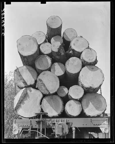 Oregon, Klamath County, near Klamath Falls. Pelican Bay Lumber…, 1939