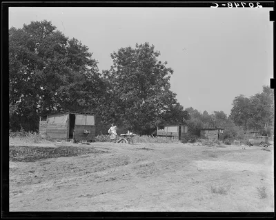Oregon, Josephine County, near Grants Pass. Fourteen such shacks on…, 1939