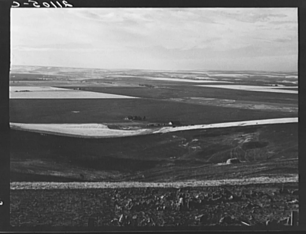 Looking down the newly plowed wheat fields of the Umatilla Valley,…, Oregon, 1939