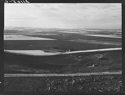 Looking down the newly plowed wheat fields of the Umatilla Valley,…, Oregon, 1939