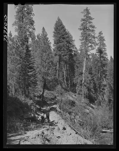 [Untitled photo, possibly related to: Ola, Idaho. FSA (Farm Security…, 1942