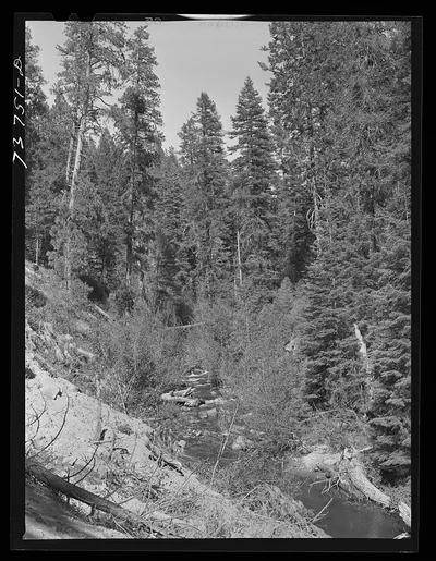 Ola, Idaho. FSA (Farm Security Administration) Ola self-help…, 1942
